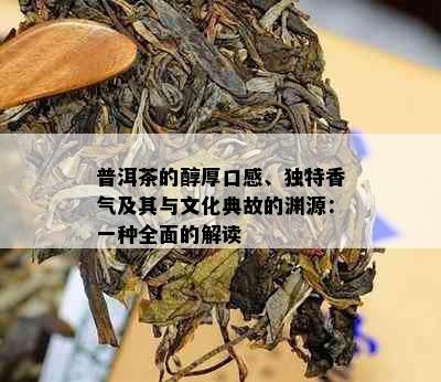 普洱茶的醇厚口感、独特香气及其与文化典故的渊源：一种全面的解读