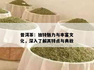 普洱茶：独特魅力与丰富文化，深入了解其特点与典故