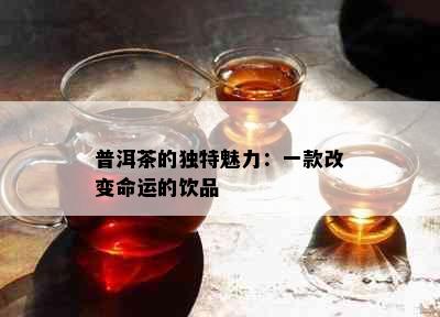 普洱茶的独特魅力：一款改变命运的饮品