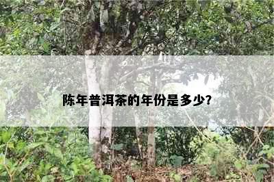 陈年普洱茶的年份是多少？