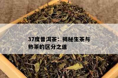 37度普洱茶：揭秘生茶与熟茶的区分之道