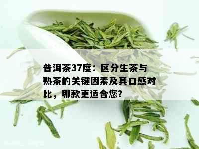 普洱茶37度：区分生茶与熟茶的关键因素及其口感对比，哪款更适合您？