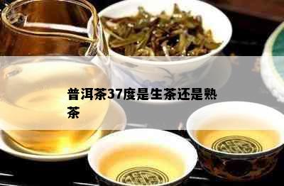 普洱茶37度是生茶还是熟茶