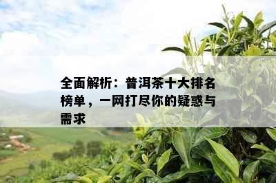 全面解析：普洱茶十大排名榜单，一网打尽你的疑惑与需求