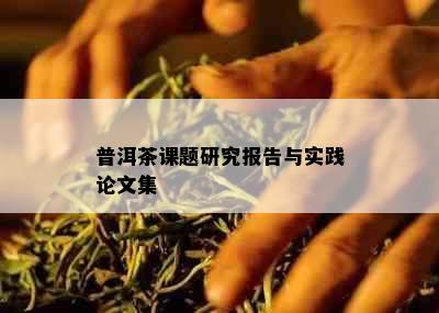 普洱茶课题研究报告与实践论文集