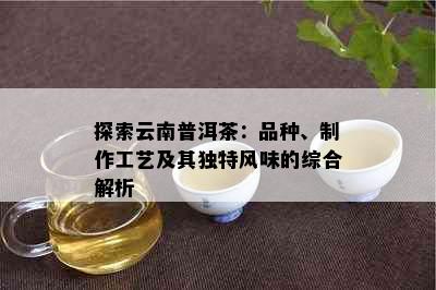 探索云南普洱茶：品种、制作工艺及其独特风味的综合解析