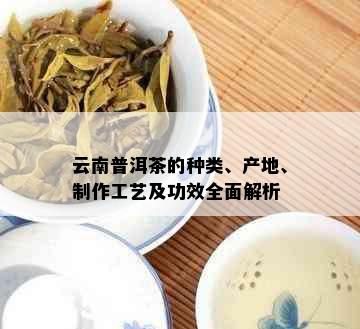 云南普洱茶的种类、产地、制作工艺及功效全面解析