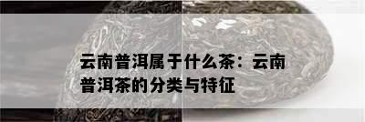 云南普洱属于什么茶：云南普洱茶的分类与特征