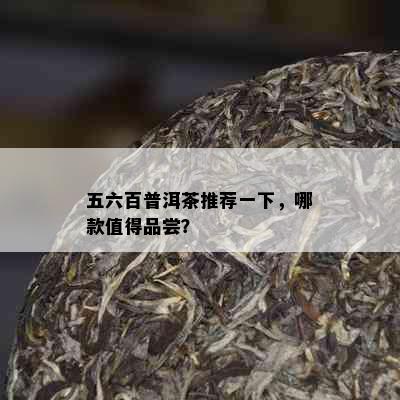 五六百普洱茶推荐一下，哪款值得品尝？