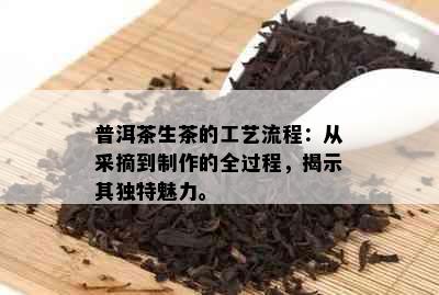 普洱茶生茶的工艺流程：从采摘到制作的全过程，揭示其独特魅力。