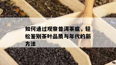 如何通过观察普洱茶底，轻松鉴别茶叶品质与年代的新方法