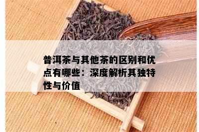 普洱茶与其他茶的区别和优点有哪些：深度解析其独特性与价值