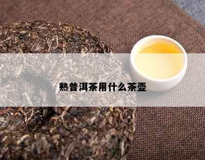 熟普洱茶用什么茶壶