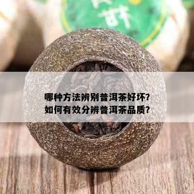 哪种方法辨别普洱茶好坏？如何有效分辨普洱茶品质？