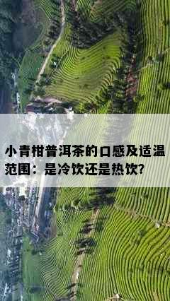 小青柑普洱茶的口感及适温范围：是冷饮还是热饮？