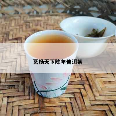 茗杨天下陈年普洱茶