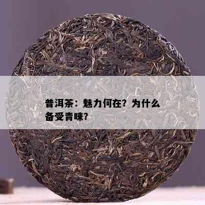 普洱茶：魅力何在？为什么备受青睐？