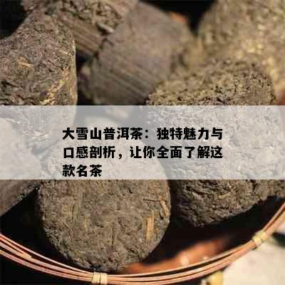 大雪山普洱茶：独特魅力与口感剖析，让你全面了解这款名茶