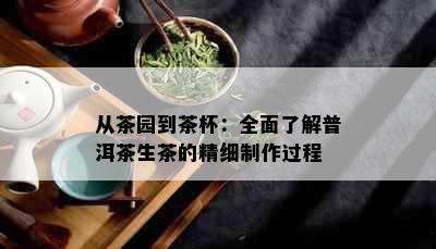 从茶园到茶杯：全面了解普洱茶生茶的精细制作过程