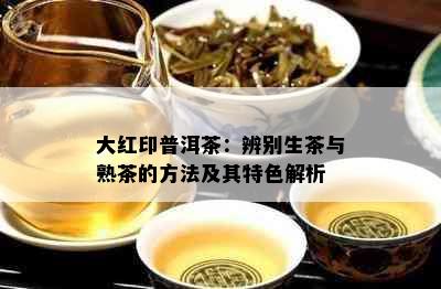 大红印普洱茶：辨别生茶与熟茶的方法及其特色解析