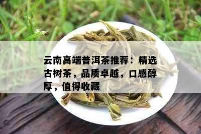 云南高端普洱茶推荐：精选古树茶，品质卓越，口感醇厚，值得收藏