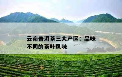 云南普洱茶三大产区：品味不同的茶叶风味