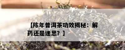 【陈年普洱茶功效揭秘：解还是迷思？】