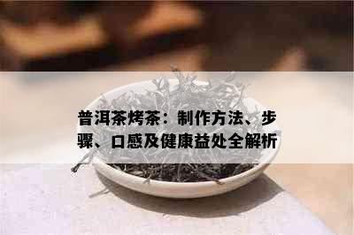 普洱茶烤茶：制作方法、步骤、口感及健康益处全解析