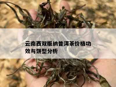 云南西双版纳普洱茶价格功效与饼型分析