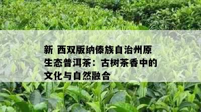 新 西双版纳傣族自治州原生态普洱茶：古树茶香中的文化与自然融合