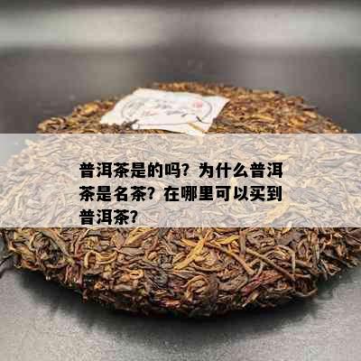 普洱茶是的吗？为什么普洱茶是名茶？在哪里可以买到普洱茶？