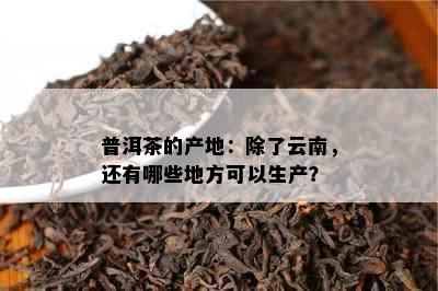 普洱茶的产地：除了云南，还有哪些地方可以生产？