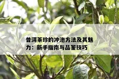 普洱茶珍的冲泡方法及其魅力：新手指南与品鉴技巧