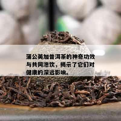 蒲公英加普洱茶的神奇功效与共同泡饮，揭示了它们对健康的深远影响。