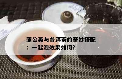 蒲公英与普洱茶的奇妙搭配：一起泡效果如何？