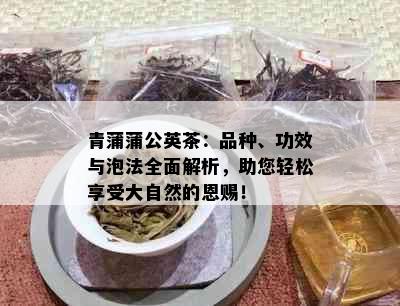 青蒲蒲公英茶：品种、功效与泡法全面解析，助您轻松享受大自然的恩赐！