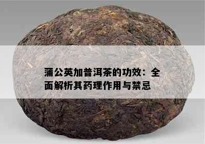 蒲公英加普洱茶的功效：全面解析其理作用与禁忌