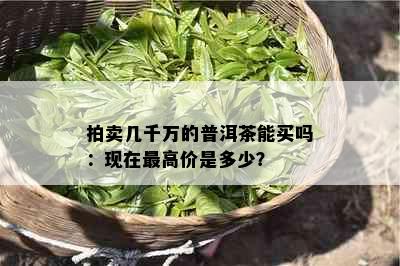 拍卖几千万的普洱茶能买吗：现在更高价是多少？