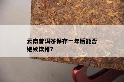 云南普洱茶保存一年后能否继续饮用？