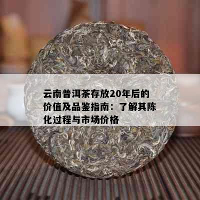 云南普洱茶存放20年后的价值及品鉴指南：了解其陈化过程与市场价格