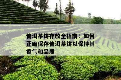 普洱茶饼存放全指南：如何正确保存普洱茶饼以保持其香气和品质