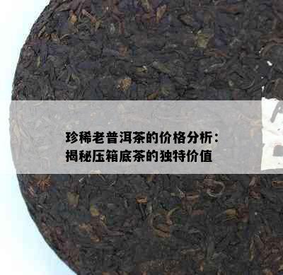 珍稀老普洱茶的价格分析：揭秘压箱底茶的独特价值