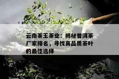 云南茶王茶业：揭秘普洱茶厂家排名，寻找高品质茶叶的更佳选择