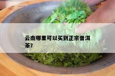 云南哪里可以买到正宗普洱茶？