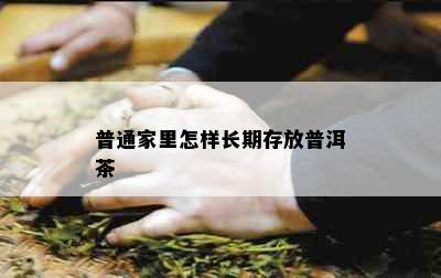 普通家里怎样长期存放普洱茶