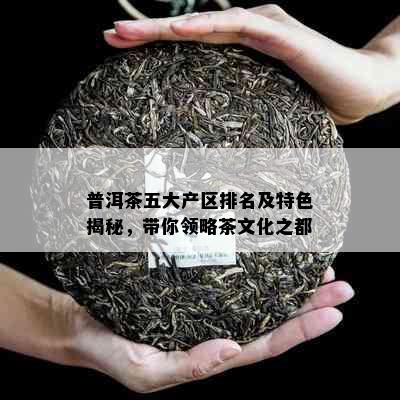 普洱茶五大产区排名及特色揭秘，带你领略茶文化之都