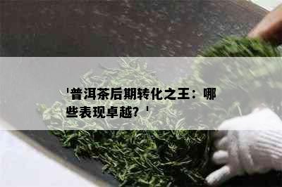 '普洱茶后期转化之王：哪些表现卓越？'