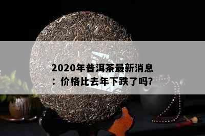 2020年普洱茶最新消息：价格比去年下跌了吗？