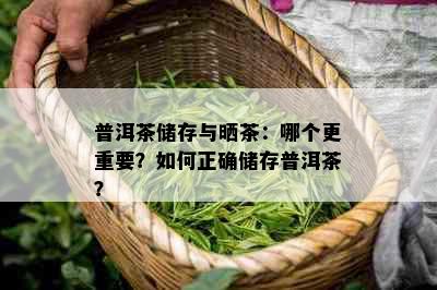 普洱茶储存与晒茶：哪个更重要？如何正确储存普洱茶？