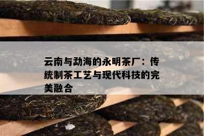 云南与勐海的永明茶厂：传统制茶工艺与现代科技的完美融合